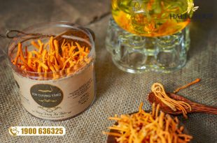 Giới thiệu đông trùng hạ thảo khô Kim Cương Vàng hộp 10g chính hãng