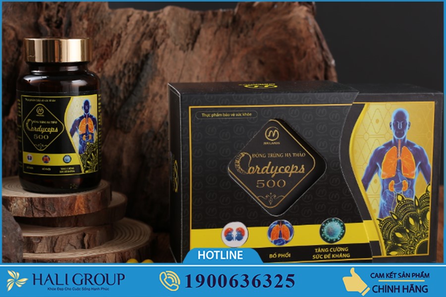 Nhà phân phối Đông Trùng Hạ Thảo Cordyceps 500 trên cả nước