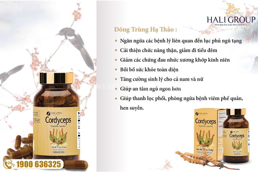 Bán lẻ Viên Đông Trùng Hạ Thảo Fine Japan trên toàn quốc