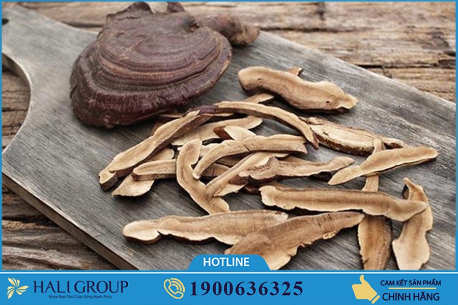 Đơn vị bán Nấm Linh Chi Kim Cương Vàng Tiến Luật trên toàn quốc