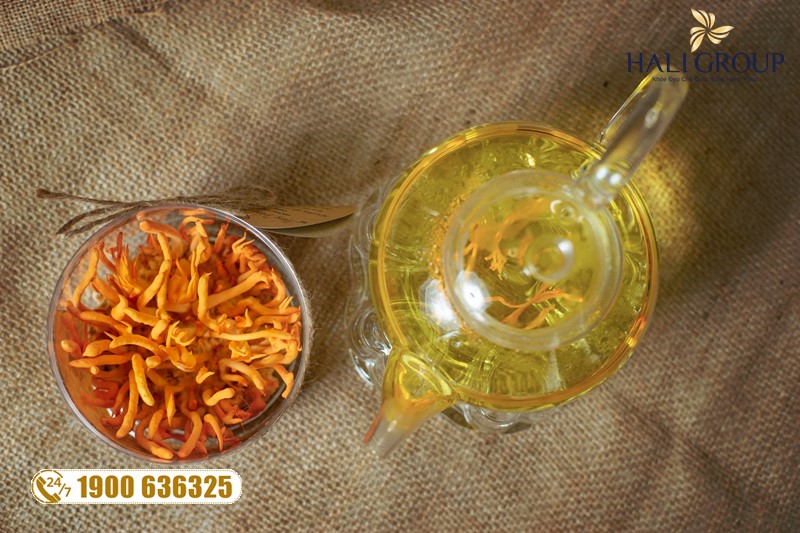 Review về Đông Trùng Hạ Thảo Khô Kim Cương Vàng chính hãng của người sử dụng sau một thời gian dùng sản phẩm