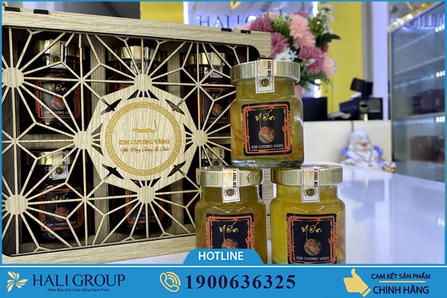 Nhà cung cấp Nước Yến Đông Trùng Hạ Thảo Kim Cương Vàng Tiến Luật ở HCM