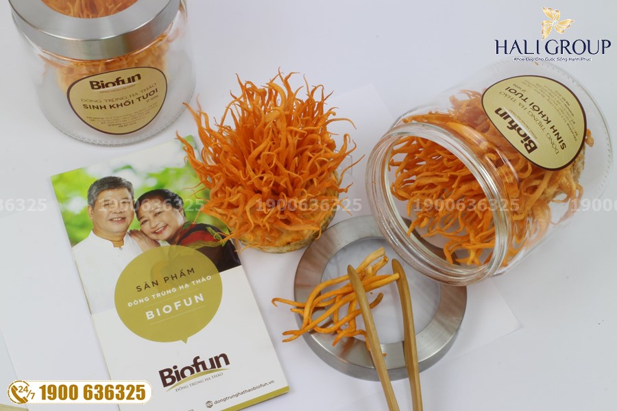 Dược phẩm tăng cường sức Đông Trùng Hạ Thảo Biofun Việt Nam: đơn vị cung cấp đông trùng hạ thảo chất lượng cao hiện nay