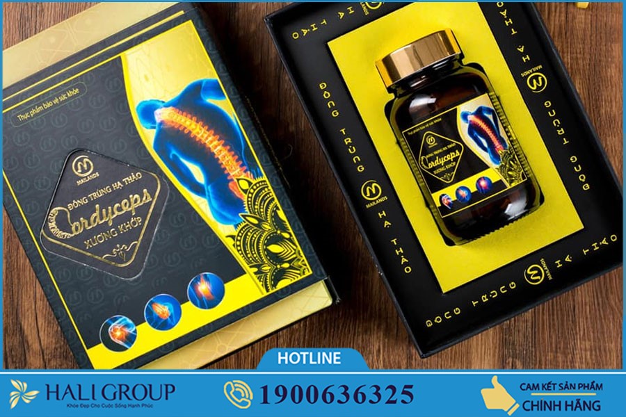 Đại lý phân phối Đông Trùng Hạ Thảo Xương Khớp Mailands Cordyceps ở HCM