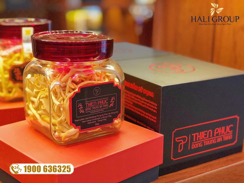 Một vài phương pháp chế biến và thương hiệu đông trùng hạ thảo khô hàng đầu trên thị trường hiện nay