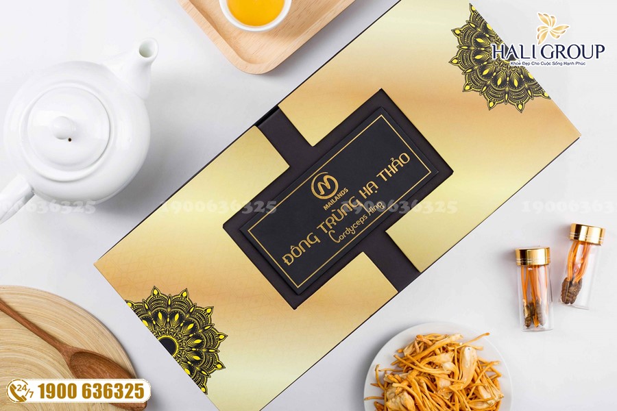 Những thông tin cần biết liên quan đến nhộng đông trùng hạ thảo